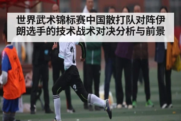 世界武术锦标赛中国散打队对阵伊朗选手的技术战术对决分析与前景 - kaiyun